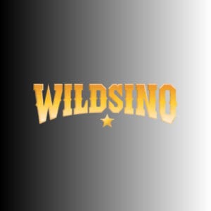 Επίσημη εφαρμογή Wildsino Casino για κινητά για iOS και Android